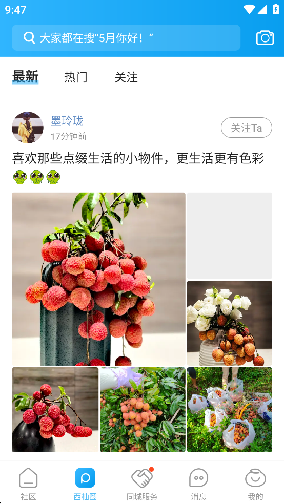 西子湖畔app