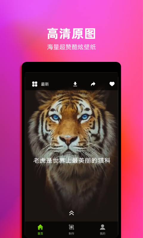 live动态壁纸app