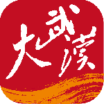 大武汉app