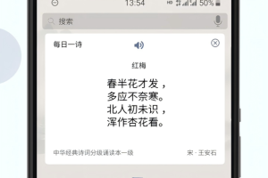 诗词分级诵读app