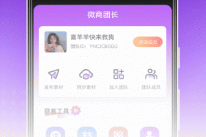 微商团长app