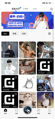 基多多自动匹配版