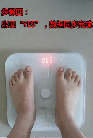 变啦体脂秤最新版