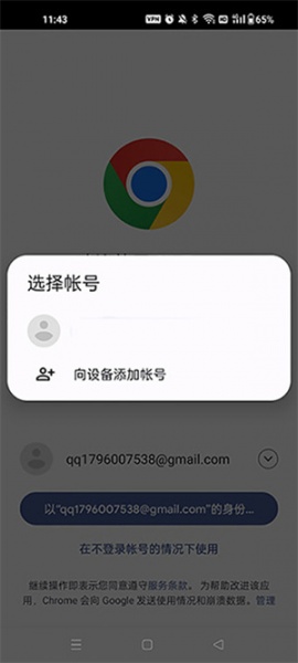 Chorme浏览器最新版(Google Chrome)