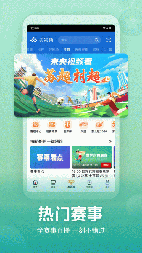 央视频华为版
