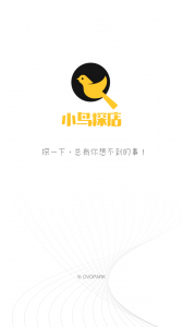 小鸟探店