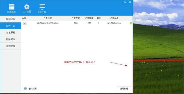 adsafe净网大师正式版