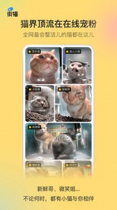 哈啰街猫app