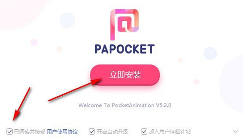 Pocket Animation