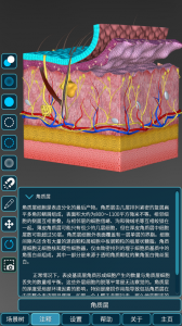 人体解剖学图集