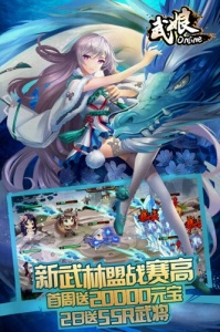 武娘手游