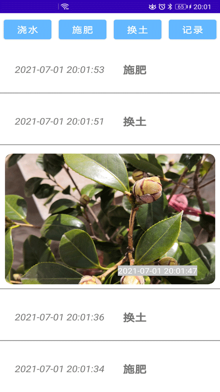 绿植花卉最新版