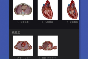 2026人体解剖学图谱app