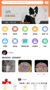 宠医帮app