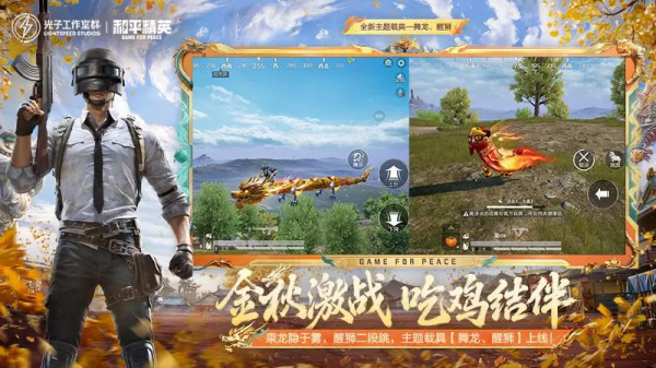 和平精英高配版