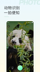 智能拍照识物app