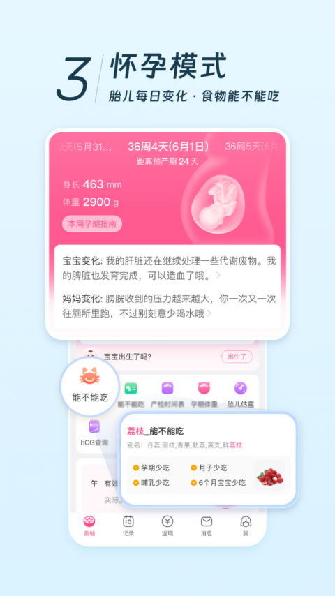 美柚app