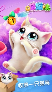 口袋猫咪小游戏
