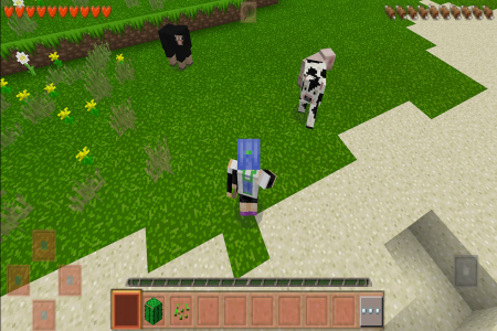 生存战争2官方正版(survivalcraft 2)