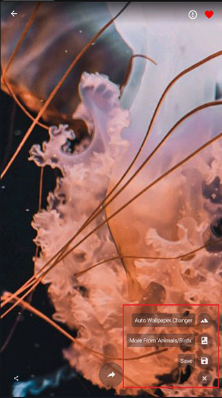 4K Wallpapers最新版