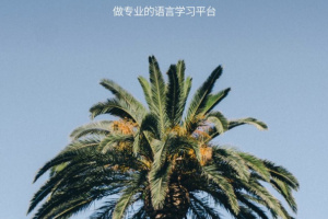 西班牙语U学院手机版