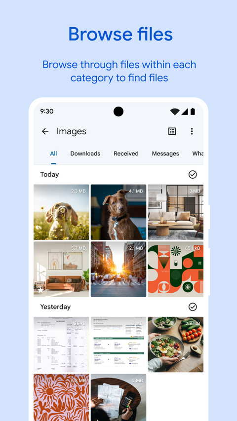 Google文件极客(Files by Google)