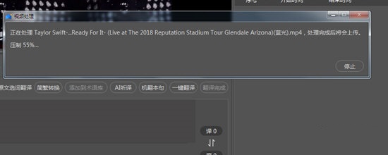 人人译视界客户端