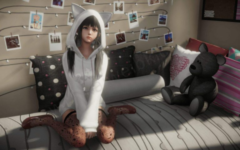 家族崩坏直装版