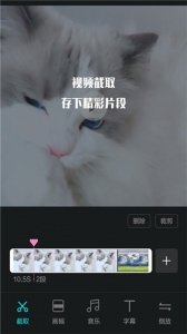 视频编辑王app