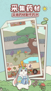 兔与药游戏