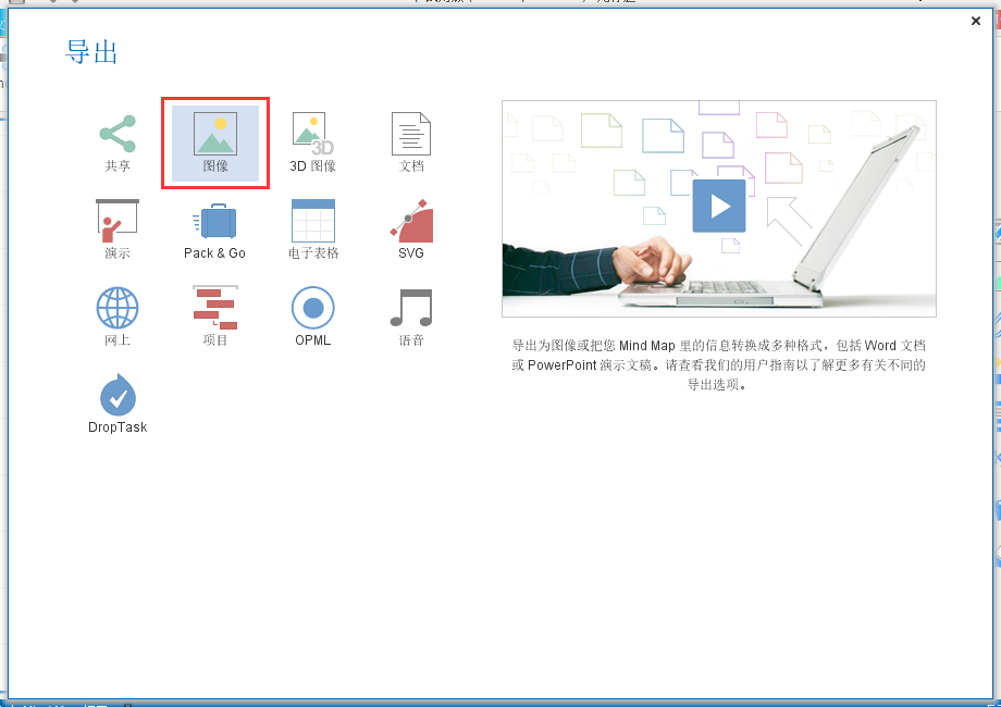 iMindMap