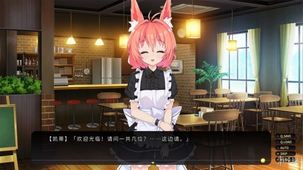 流浪小猫单身狗