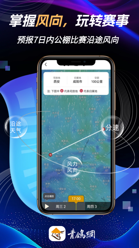 青鸽网app