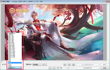faststone image viewer