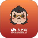 中沥网app