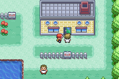 口袋妖怪叶绿中文珍藏版