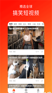 蕾丝猫免费版