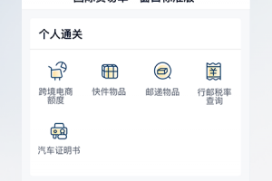 掌上单一窗口app