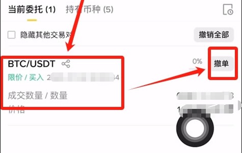 毕安app