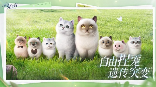 以闪亮之名官方版