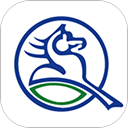 天骄通鄂尔多斯市民卡app