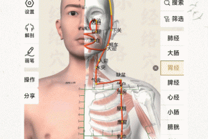 中济经络穴位app