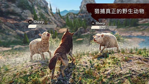 狼族手游(The Wolf)