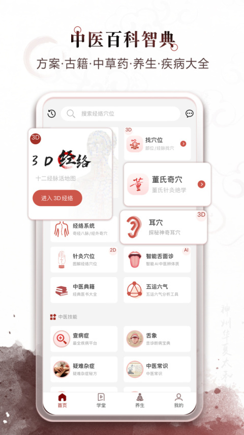 中医经络穴位