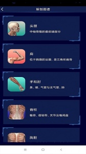 3D人体解剖图谱最新版