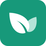 青藤之恋真人版