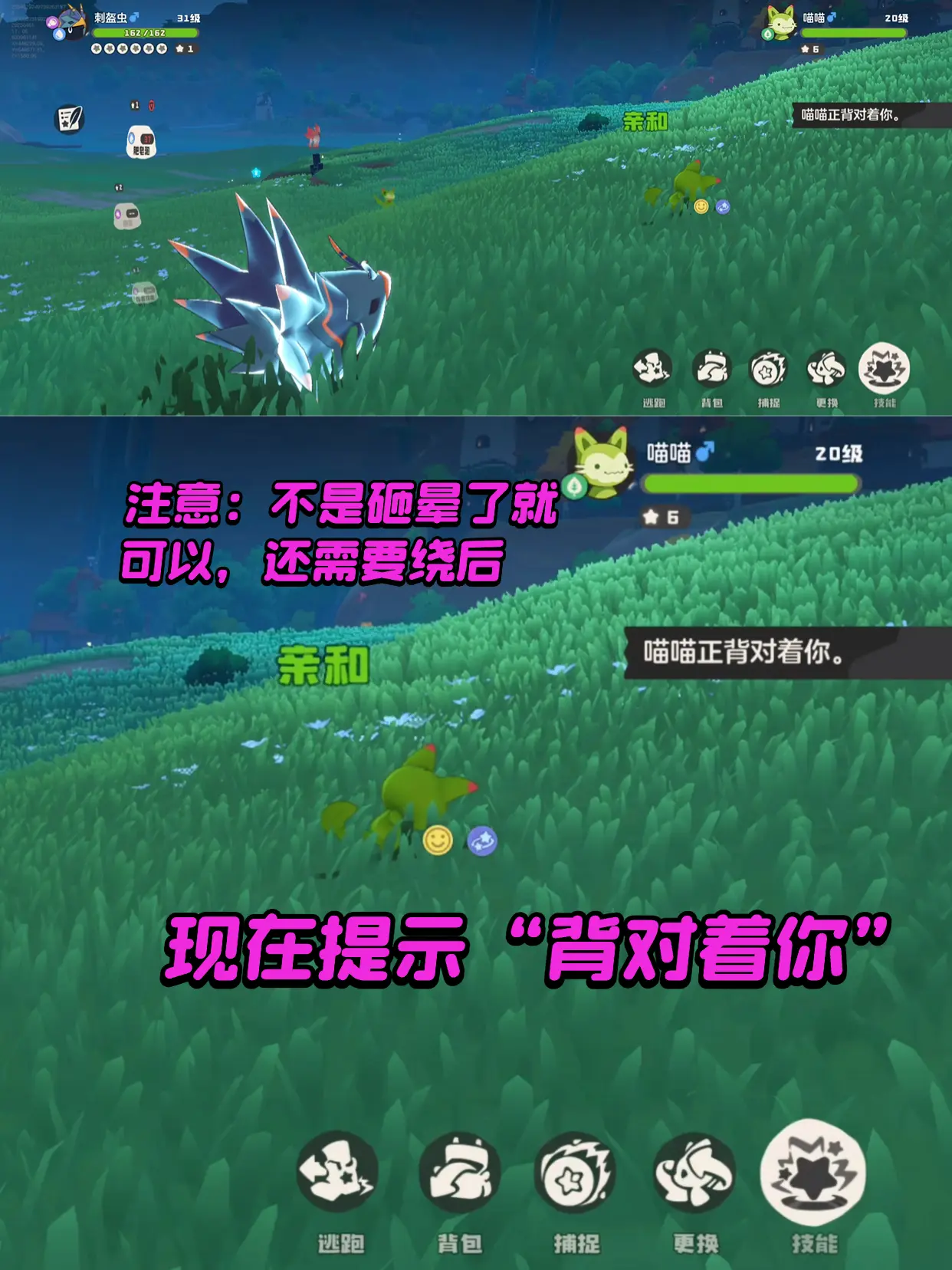 洛克王国世界官方正版