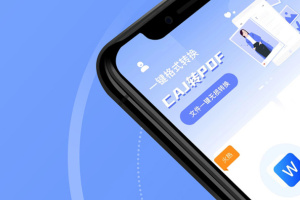 caj转换器手机版