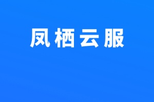凤栖云服app
