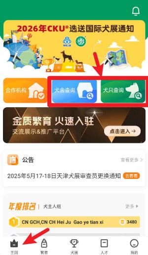 宠爱王国app